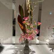 ヒメ日記 2025/12/16 23:54 投稿 莉子【りこ】 輝女