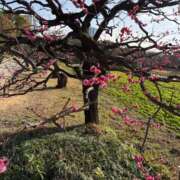 ヒメ日記 2026/01/19 19:14 投稿 莉子【りこ】 輝女