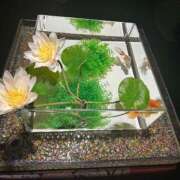 ヒメ日記 2026/02/27 07:58 投稿 莉子【りこ】 輝女