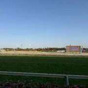 ヒメ日記 2026/03/08 16:32 投稿 莉子【りこ】 輝女