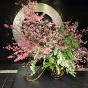 ヒメ日記 2026/03/20 02:21 投稿 莉子【りこ】 輝女