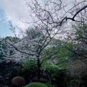 ヒメ日記 2026/03/27 17:12 投稿 莉子【りこ】 輝女