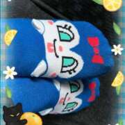 ヒメ日記 2025/07/24 06:06 投稿 森内 亜貴乃 30代40代50代と遊ぶなら博多人妻専科24時