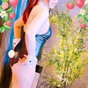 ヒメ日記 2025/09/10 05:36 投稿 森内 亜貴乃 30代40代50代と遊ぶなら博多人妻専科24時