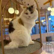 ヒメ日記 2026/01/23 17:43 投稿 森内 亜貴乃 30代40代50代と遊ぶなら博多人妻専科24時