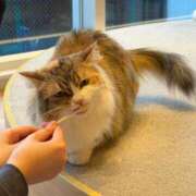 ヒメ日記 2026/02/01 16:03 投稿 森内 亜貴乃 30代40代50代と遊ぶなら博多人妻専科24時