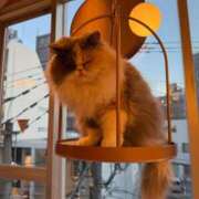 ヒメ日記 2026/02/03 11:14 投稿 森内 亜貴乃 30代40代50代と遊ぶなら博多人妻専科24時