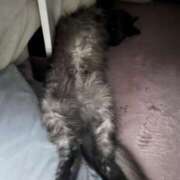 森内 亜貴乃 こんばんは❣️雨が激しいですね😅💦 30代40代50代と遊ぶなら博多人妻専科24時