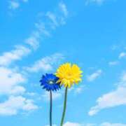 ヒメ日記 2026/01/16 14:47 投稿 湊【みなと】 輝女