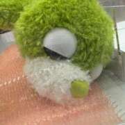 ヒメ日記 2026/02/02 09:03 投稿 湊【みなと】 輝女