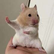 ヒメ日記 2026/02/05 13:39 投稿 湊【みなと】 輝女