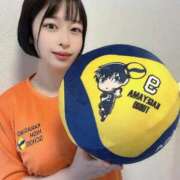 ヒメ日記 2025/11/08 07:19 投稿 田中 マリン千姫