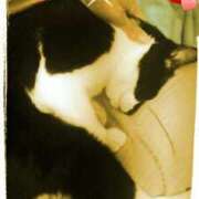 ヒメ日記 2025/08/14 12:50 投稿 すずな 熟女デリヘル倶楽部