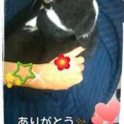 ヒメ日記 2025/09/15 13:13 投稿 すずな 熟女デリヘル倶楽部