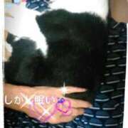 ヒメ日記 2025/10/08 10:27 投稿 すずな 熟女デリヘル倶楽部