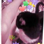 ヒメ日記 2025/11/15 11:29 投稿 すずな 熟女デリヘル倶楽部