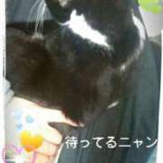 ヒメ日記 2025/11/27 12:38 投稿 すずな 熟女デリヘル倶楽部