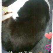 すずな 今日出勤🎀 熟女デリヘル倶楽部