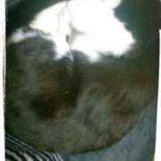 ヒメ日記 2025/12/30 22:04 投稿 すずな 熟女デリヘル倶楽部