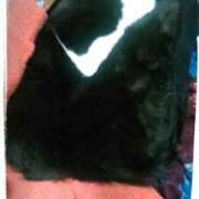 ヒメ日記 2026/01/12 10:10 投稿 すずな 熟女デリヘル倶楽部