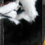 ヒメ日記 2026/01/21 10:21 投稿 すずな 熟女デリヘル倶楽部