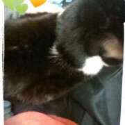 ヒメ日記 2026/01/28 09:26 投稿 すずな 熟女デリヘル倶楽部