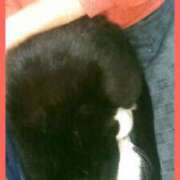 ヒメ日記 2026/02/02 13:25 投稿 すずな 熟女デリヘル倶楽部