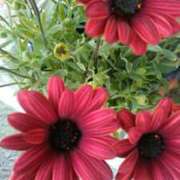 ヒメ日記 2026/02/09 21:12 投稿 すずな 熟女デリヘル倶楽部