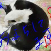 ヒメ日記 2026/03/21 13:51 投稿 すずな 熟女デリヘル倶楽部