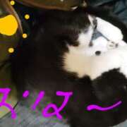 ヒメ日記 2026/03/24 12:14 投稿 すずな 熟女デリヘル倶楽部