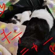 ヒメ日記 2026/04/12 13:48 投稿 すずな 熟女デリヘル倶楽部