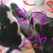 ヒメ日記 2026/04/20 17:17 投稿 すずな 熟女デリヘル倶楽部