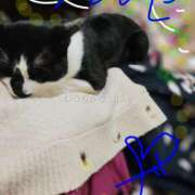 ヒメ日記 2026/04/23 15:18 投稿 すずな 熟女デリヘル倶楽部