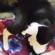 ヒメ日記 2026/04/26 13:28 投稿 すずな 熟女デリヘル倶楽部