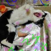 ヒメ日記 2026/05/06 14:00 投稿 すずな 熟女デリヘル倶楽部