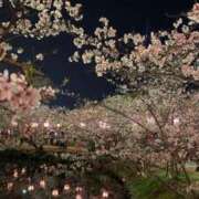 ヒメ日記 2026/04/03 14:59 投稿 おうか 大牟田デリヘル倶楽部