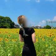 ヒメ日記 2026/06/27 10:39 投稿 おうか 大牟田デリヘル倶楽部