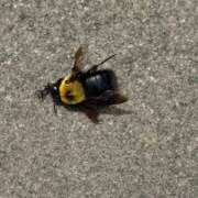 ヒメ日記 2025/07/08 19:44 投稿 そらら 夜這専門発情する奥様たち 難波店