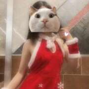 ヒメ日記 2025/12/19 16:25 投稿 Mogami THE PREMIUM （プレミアム）