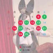 ヒメ日記 2026/01/19 22:00 投稿 ふうか JAPAN CLUB BUNNY LOUNGE