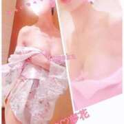 ヒメ日記 2026/05/19 19:15 投稿 夢花-ゆめか- 人妻倶楽部 花椿大崎店