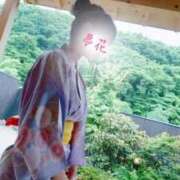 ヒメ日記 2026/09/19 23:14 投稿 夢花-ゆめか- 人妻倶楽部 花椿大崎店