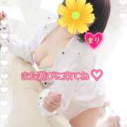 ヒメ日記 2024/12/12 18:40 投稿 まり ぽっちゃり素人専門店 愛されぽっちゃり倶楽部 古川店