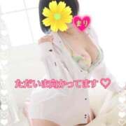 ヒメ日記 2025/01/17 13:37 投稿 まり ぽっちゃり素人専門店 愛されぽっちゃり倶楽部 古川店