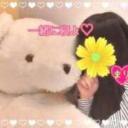 ヒメ日記 2025/03/08 00:37 投稿 まり ぽっちゃり素人専門店 愛されぽっちゃり倶楽部 古川店