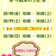 ヒメ日記 2025/03/28 00:07 投稿 まり ぽっちゃり素人専門店 愛されぽっちゃり倶楽部 古川店