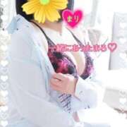 ヒメ日記 2025/04/01 06:27 投稿 まり ぽっちゃり素人専門店 愛されぽっちゃり倶楽部 古川店