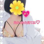 ヒメ日記 2025/04/02 07:17 投稿 まり ぽっちゃり素人専門店 愛されぽっちゃり倶楽部 古川店