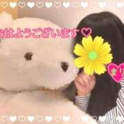 ヒメ日記 2025/04/06 06:07 投稿 まり ぽっちゃり素人専門店 愛されぽっちゃり倶楽部 古川店