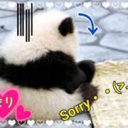 ヒメ日記 2025/04/22 20:07 投稿 まり ぽっちゃり素人専門店 愛されぽっちゃり倶楽部 古川店